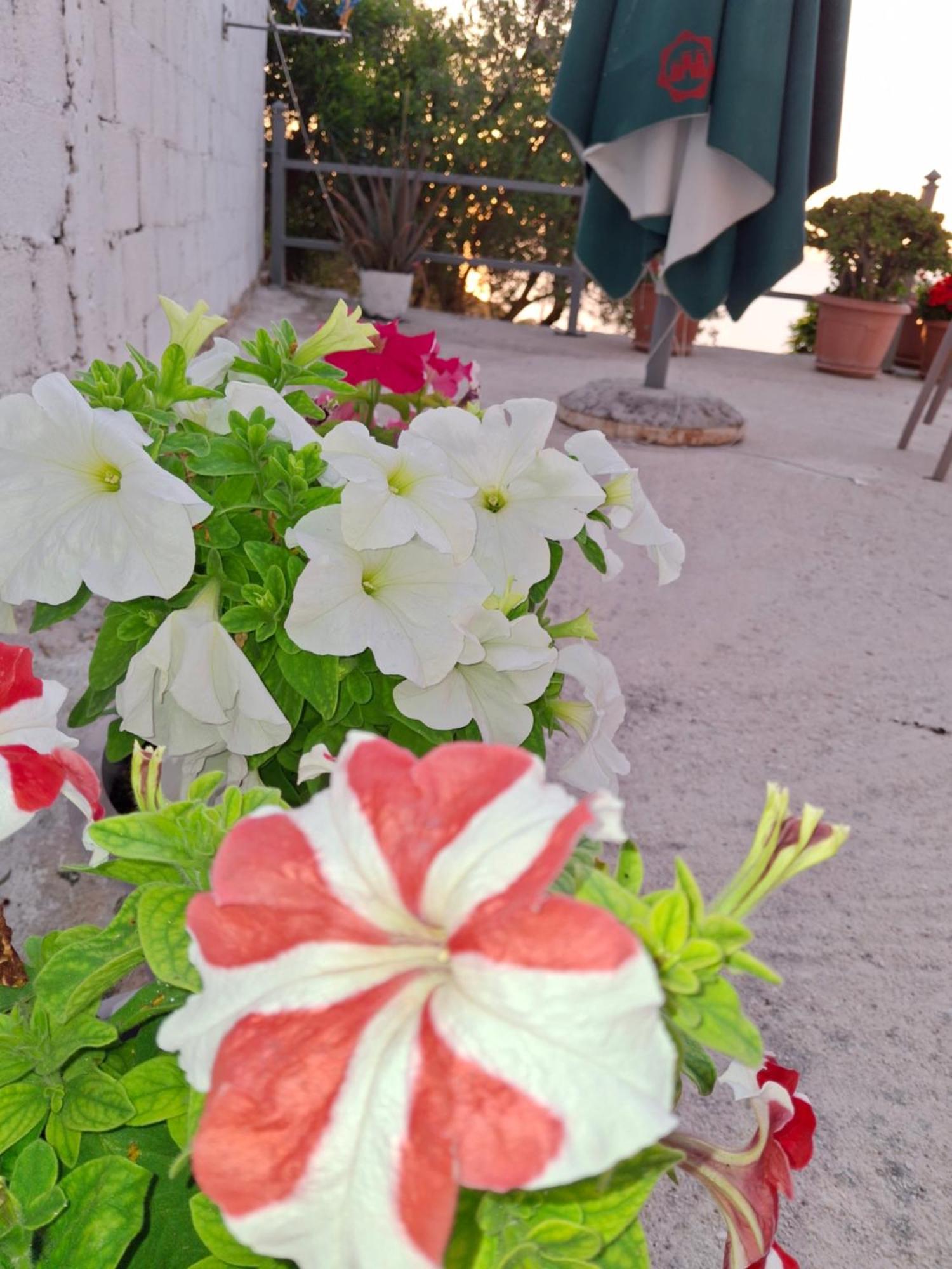 Amar Seaside Apartment Ksamil Exterior photo